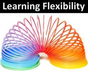 Learning-Flexibility